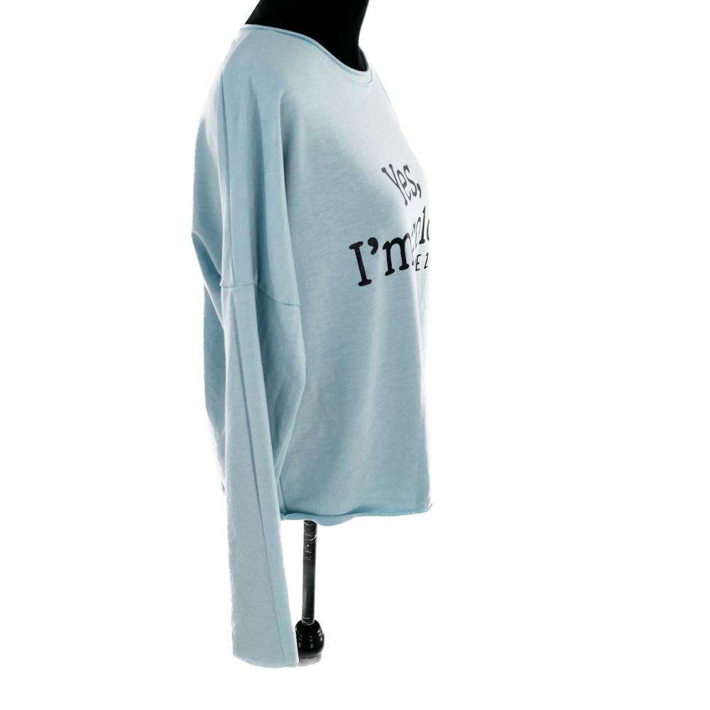 Lilicloth Graphic Yes I'm Cold ME 24:7 Long Sleeve Baby Blue T-Shirt Size Medium - Picture 14 of 17